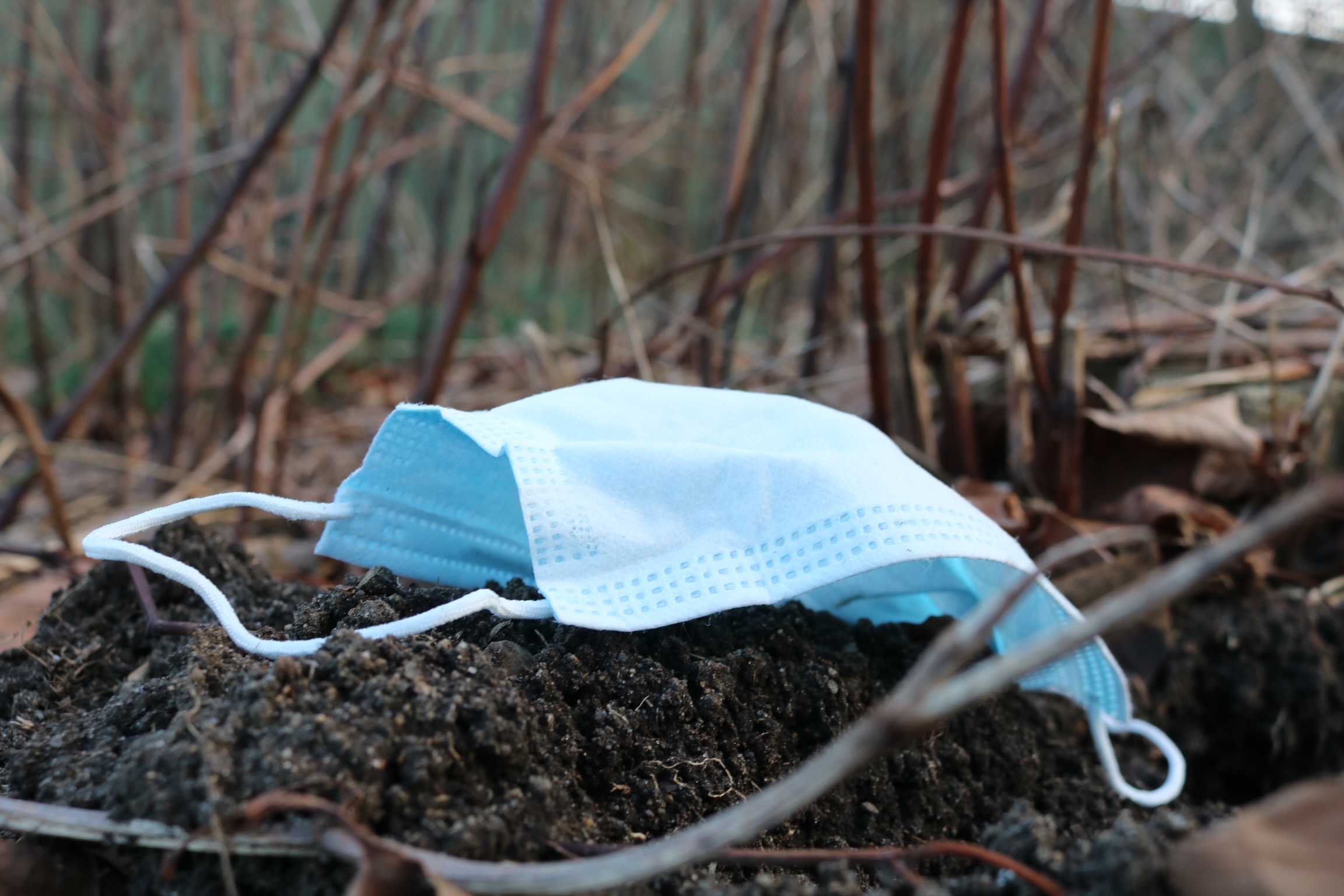 Toxins found in disposable plastic face masks may harm humans and the  environment